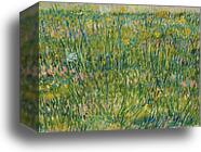 Grasgrond Patch of grass by Vincent Van Gogh, Canvas Print