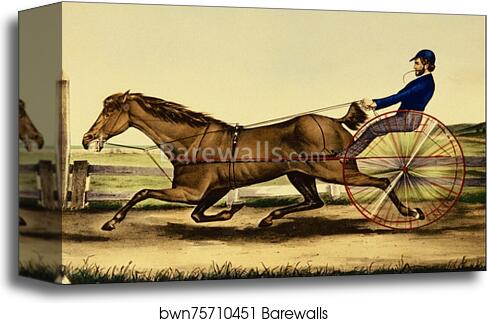 Trustee by Currier & Ives, Canvas Print