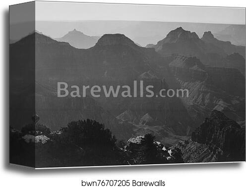 View with shrub detail in foreground, "Grand Canyon National Park," Arizona.  Photographs of National Parks and Monuments, compiled 1941 - 1942, documenting the period ca. 1933 - 1942 by Ansel Adams (1902-1984), Canvas Print