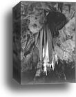 79-AAW-19 Onyx drapes in the Papoose Room. Carlsbad Caverns 1942 by Ansel Adams (1902-1984), Canvas Print