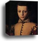 Portrait of Ferdinando de'Medici by Agnolo Bronzino, Canvas Print