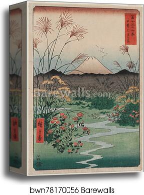 Ōtsuki Plain in Kai Province (Kai �?tsuki no hara), from the series Thirty-six Views of Mount Fuji (Fuji sanjūrokkei) by Utagawa Hiroshige, Canvas Print