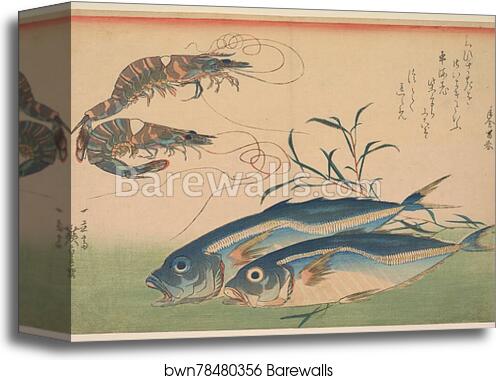 Horse Mackerel (Aji) with Shrimp or Prawn, with inscription by Utagawa Hiroshige, Canvas Print