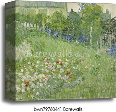 Daubigny's garden by Vincent Van Gogh, Canvas Print