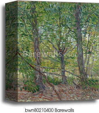 Trees by Vincent Van Gogh, Canvas Print