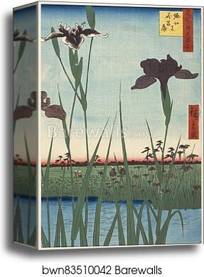 Horikiri Iris Garden (Horikiri no hanash�?bu), from the series One Hundred Famous Views of Edo (Meisho Edo hyakkei) by Utagawa Hiroshige, Canvas Print