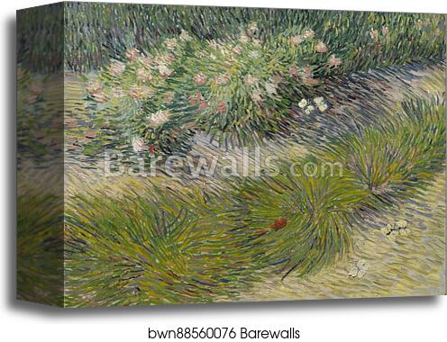 Grass and butterflies by Vincent Van Gogh, Canvas Print