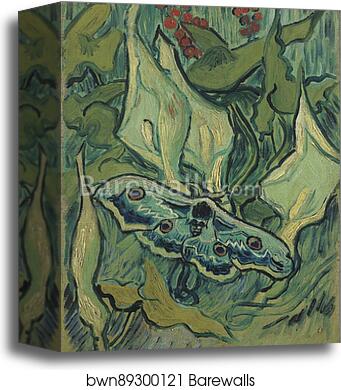 Emperor moth by Vincent Van Gogh, Canvas Print