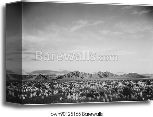 Distant view of mountains, desert, shrubs highlighted in foreground, "Near Death Valley National Monument," California.  Photographs of National Parks and Monuments, compiled 1941 - 1942, documenting the period ca. 1933 - 1942 by Ansel Adams (1902-1984), Canvas Print