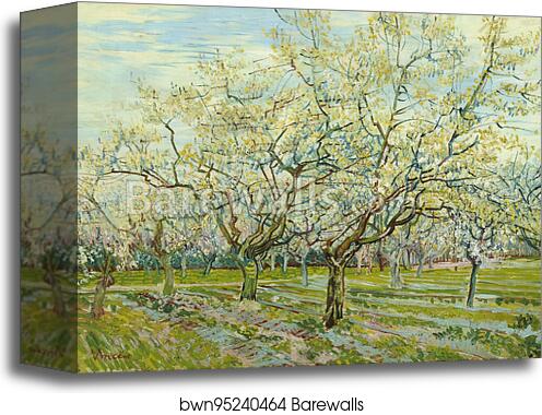 The white orchard by Vincent Van Gogh, Canvas Print