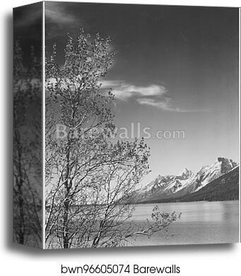 Grand Teton National Park, Wyoming. (vertical orientation).  Photographs of National Parks and Monuments, compiled 1941 - 1942, documenting the period ca. 1933 - 1942 by Ansel Adams (1902-1984), Canvas Print