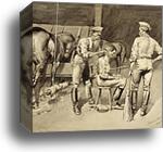 A Haircut in a Cavalry Stable by Frederic Remington, Canvas Print