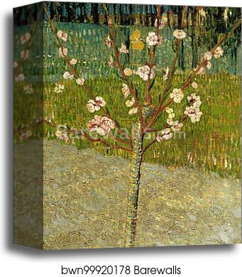 Almond tree in blossom by Vincent Van Gogh, Canvas Print